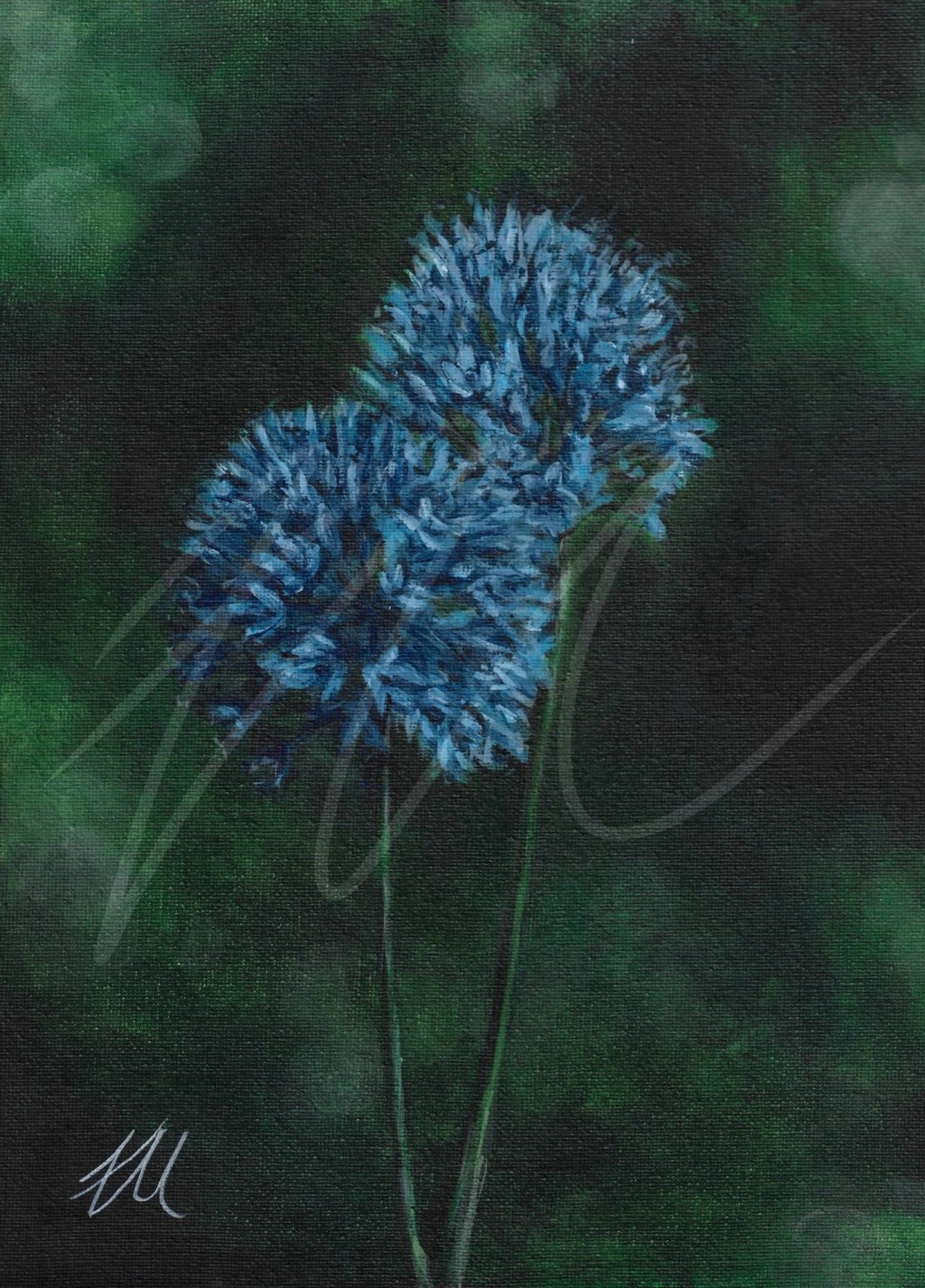 Blue Allium