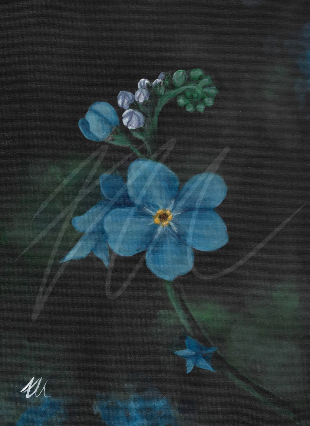 Forget Me Not