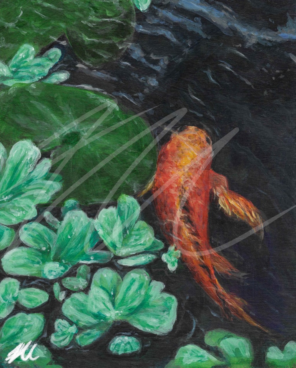 Koi Fish