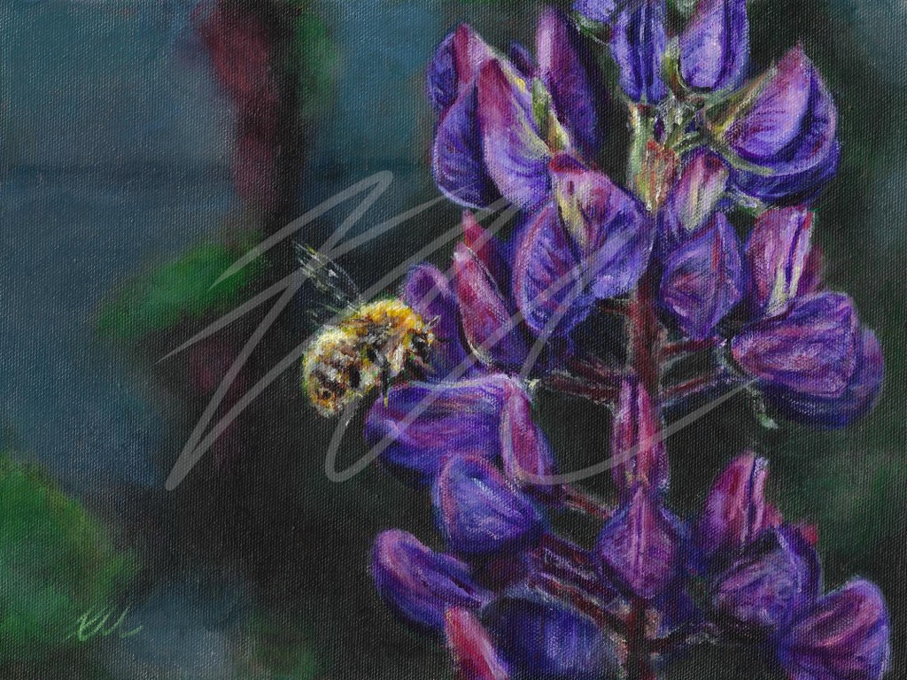 Bee-utiful Lupin