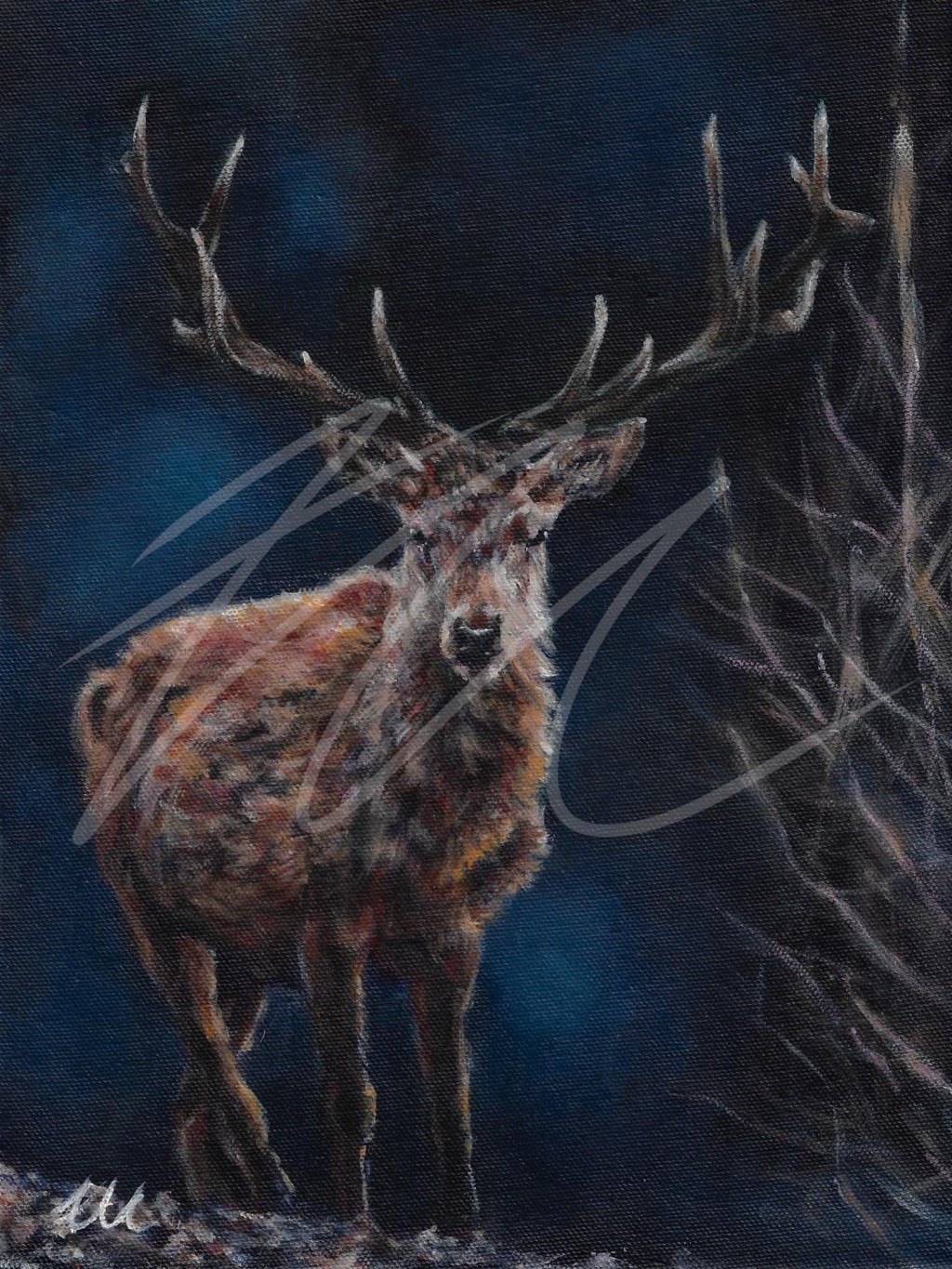 “Stag”